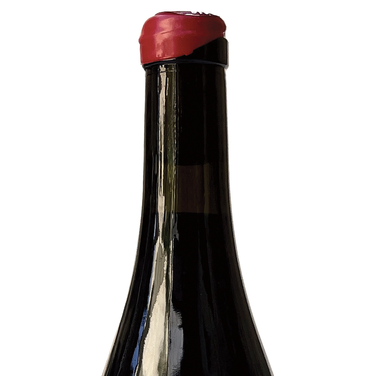 GAMAY – Image 3