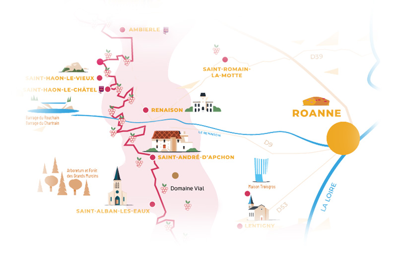 Carte du vignoble