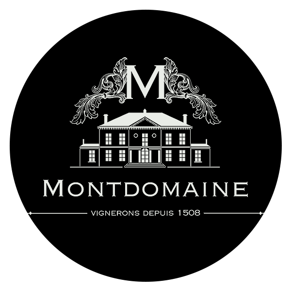 Logo domaine