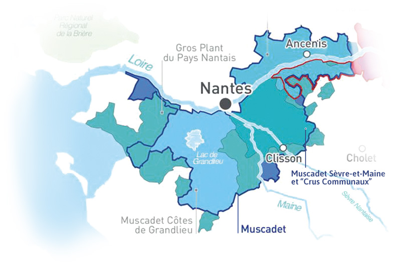 Carte du vignoble