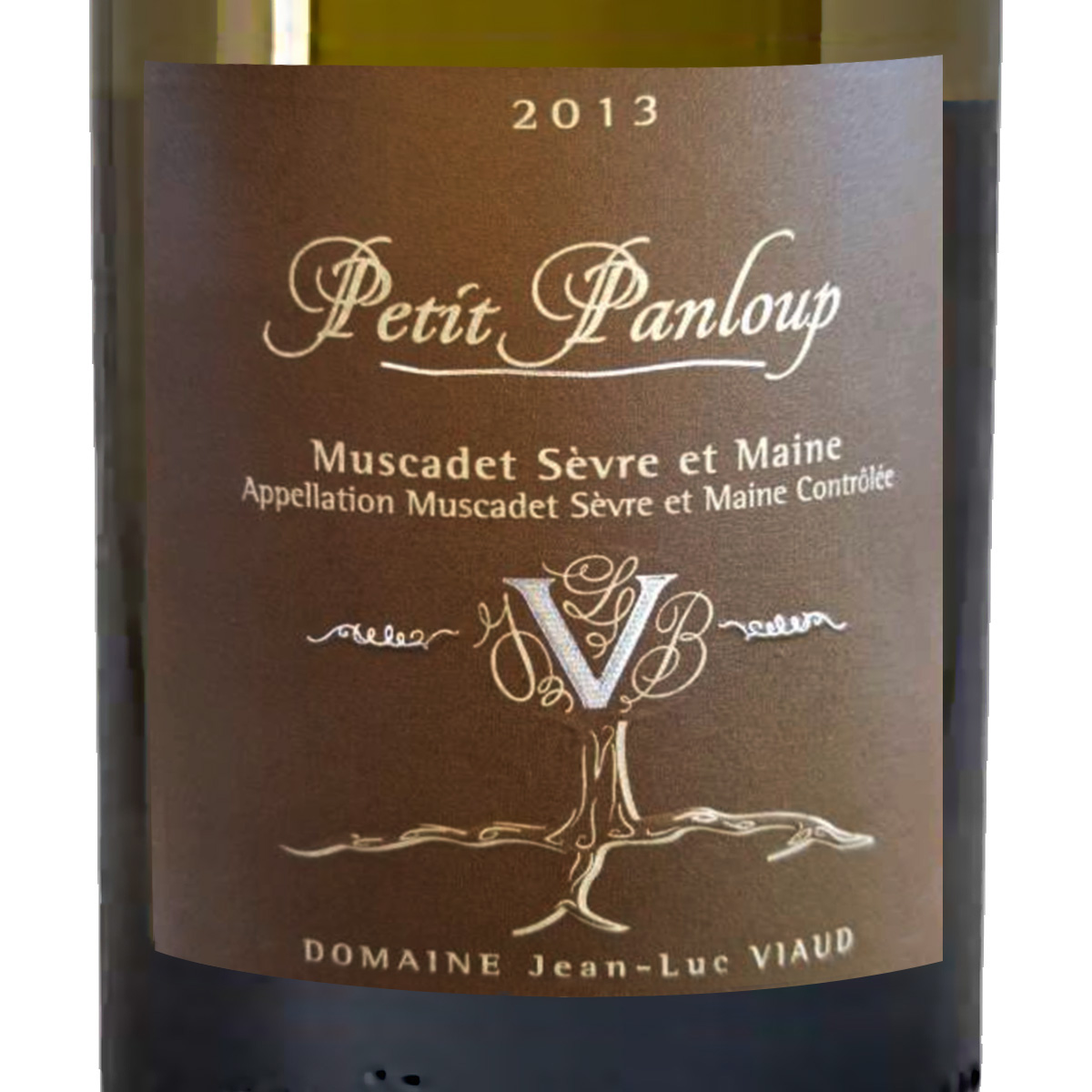 PETIT PANLOUP – Image 2