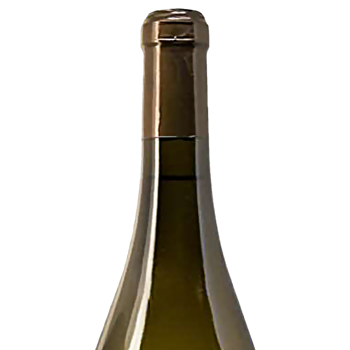 PETIT PANLOUP – Image 3